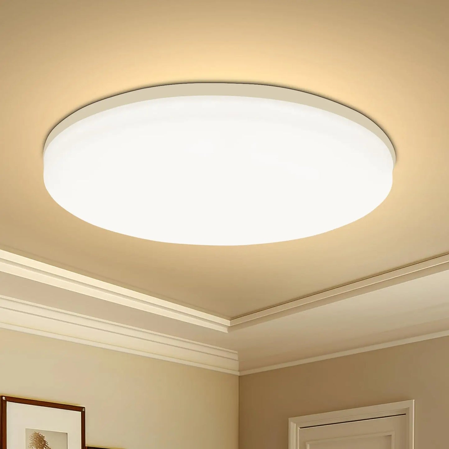 Stylish LED Ceiling Light for Living Room , bedroom and Kitchen